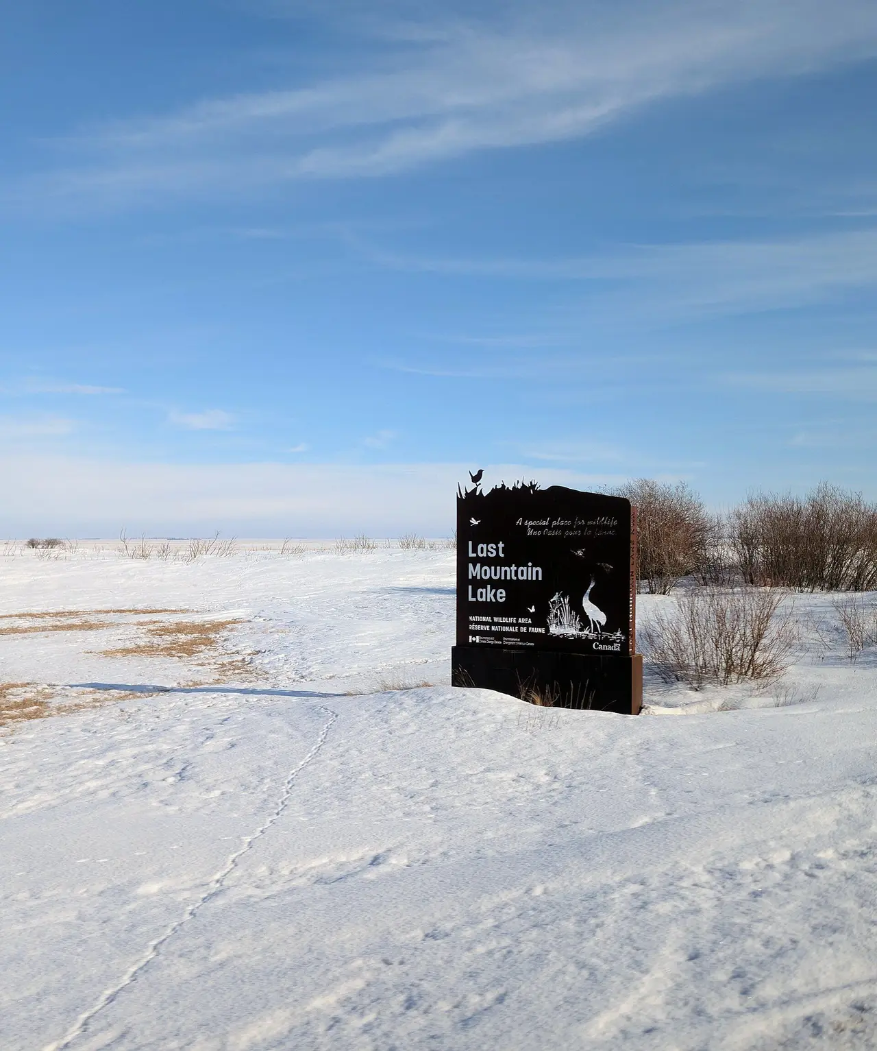 Last Mountain Lake National Wildlife Area sign in winter, 2026