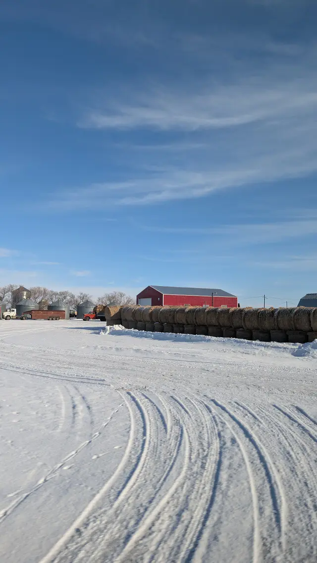 Hay bales and red shop in winter